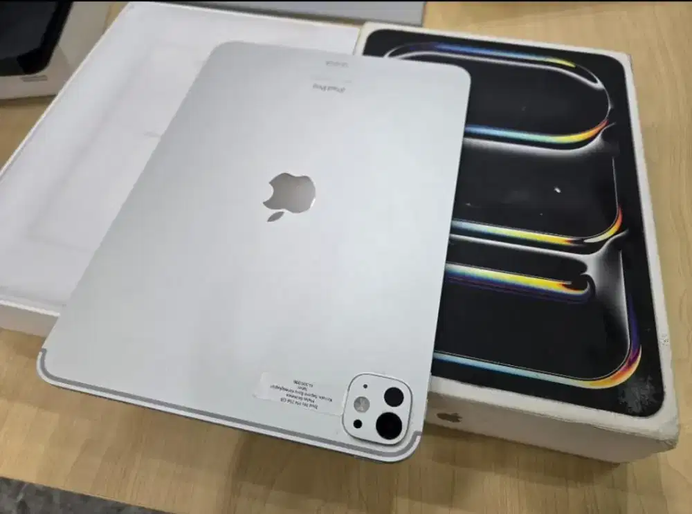 iPad PRO M4 256 GB