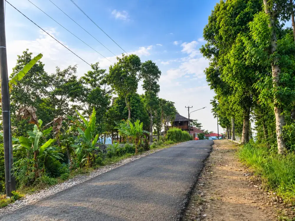MURAH DIJUAL TANAH DI KAKI GUNUNG BURANGRANG, UDARA SEJUK