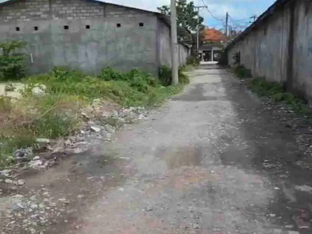 Tanah Gunung Salak Denpasar
