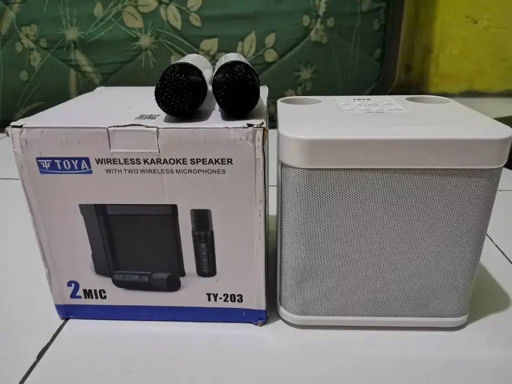 Wireless karaoke Speaker