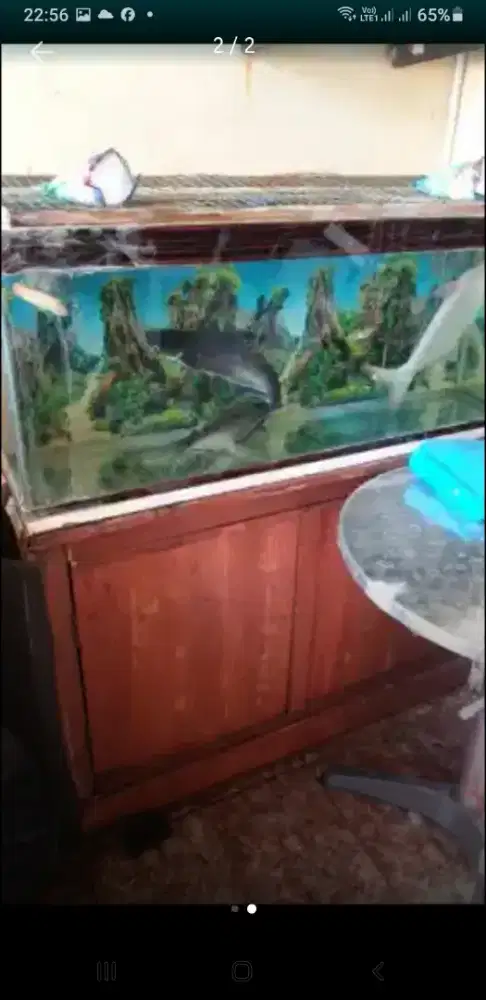 Aquarium dan filer bawah di obral murah2 gratis meja ( tanpa ikan)