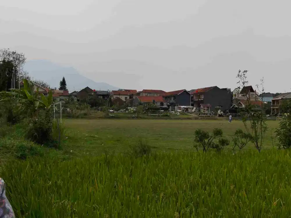 Dijual sawah cocok dibangun kostan dekat ke Griya Yogya Cinunuk Bandung