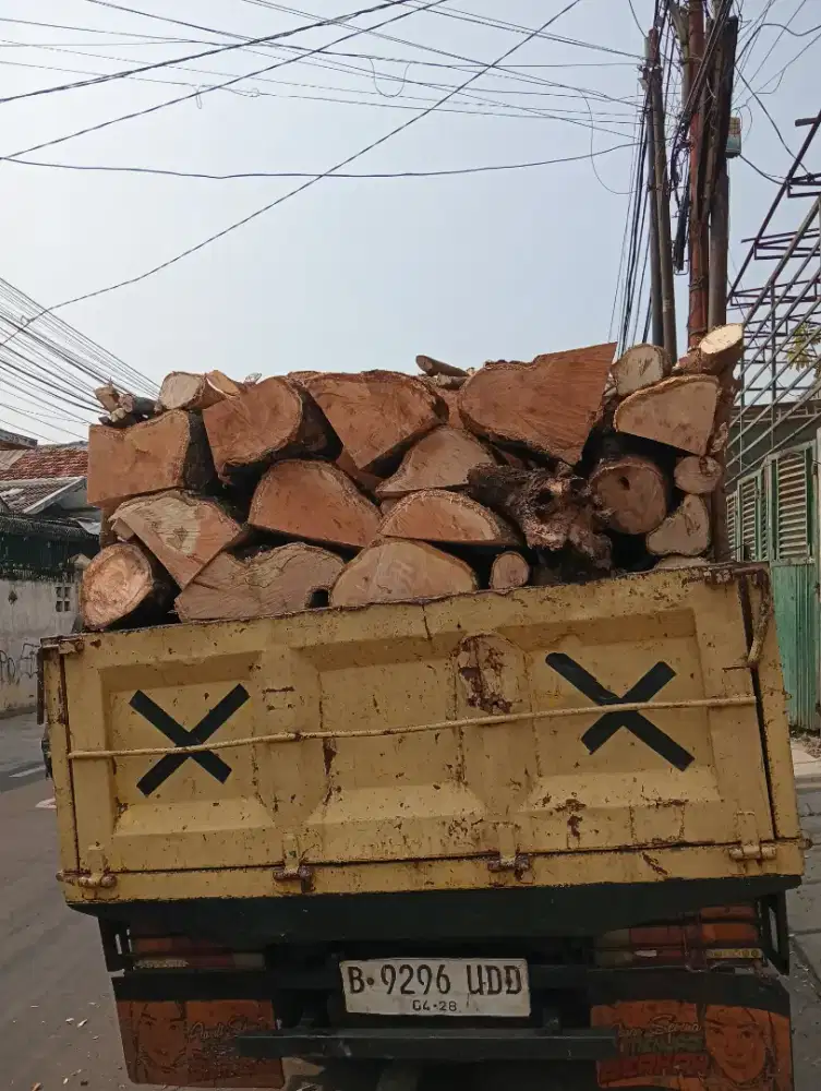 Jasa tebang pohon