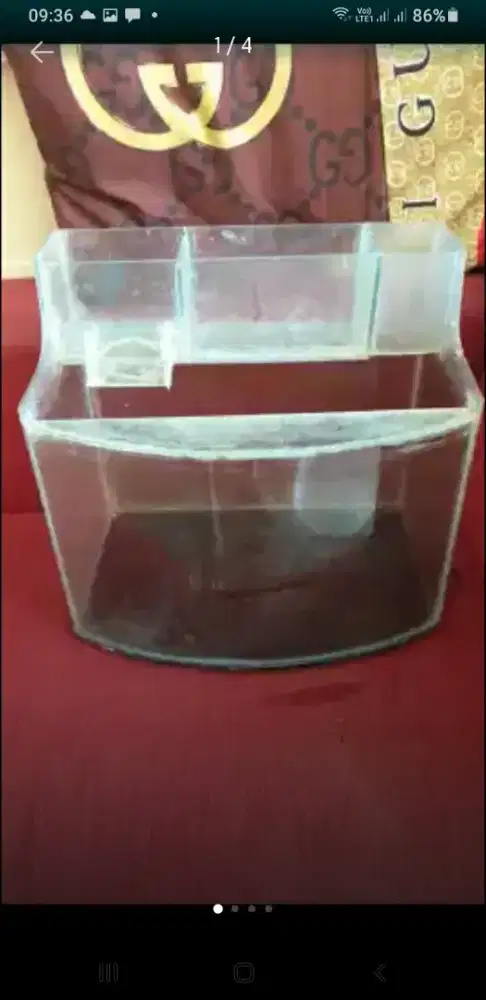 Aguarium kaca cembung