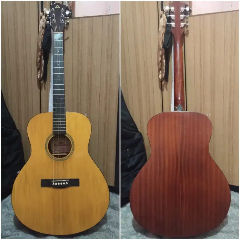 gitar akustik elektrik ori anderson mantap siap pakai nett
