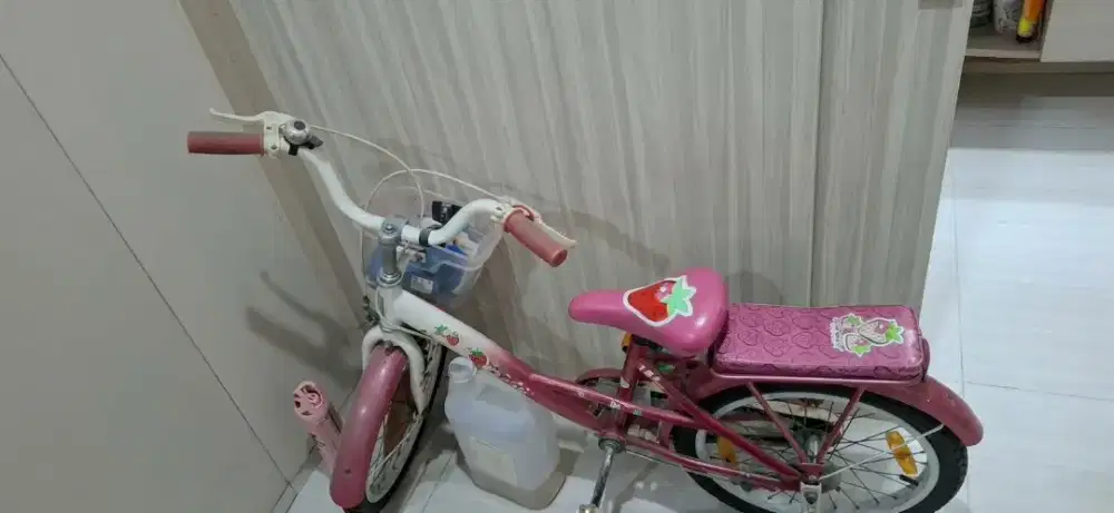 Sepeda wim cycle 18 inch karakter anak strawberry shortcake