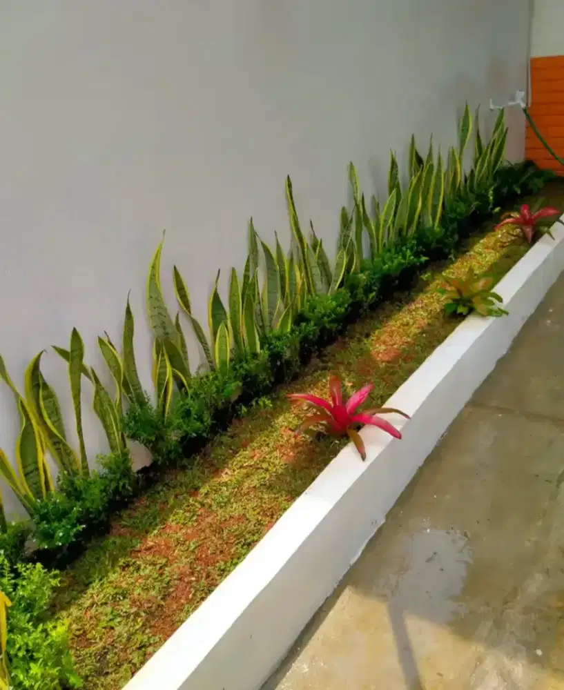 Jasa pembuatan taman hijau minimalis