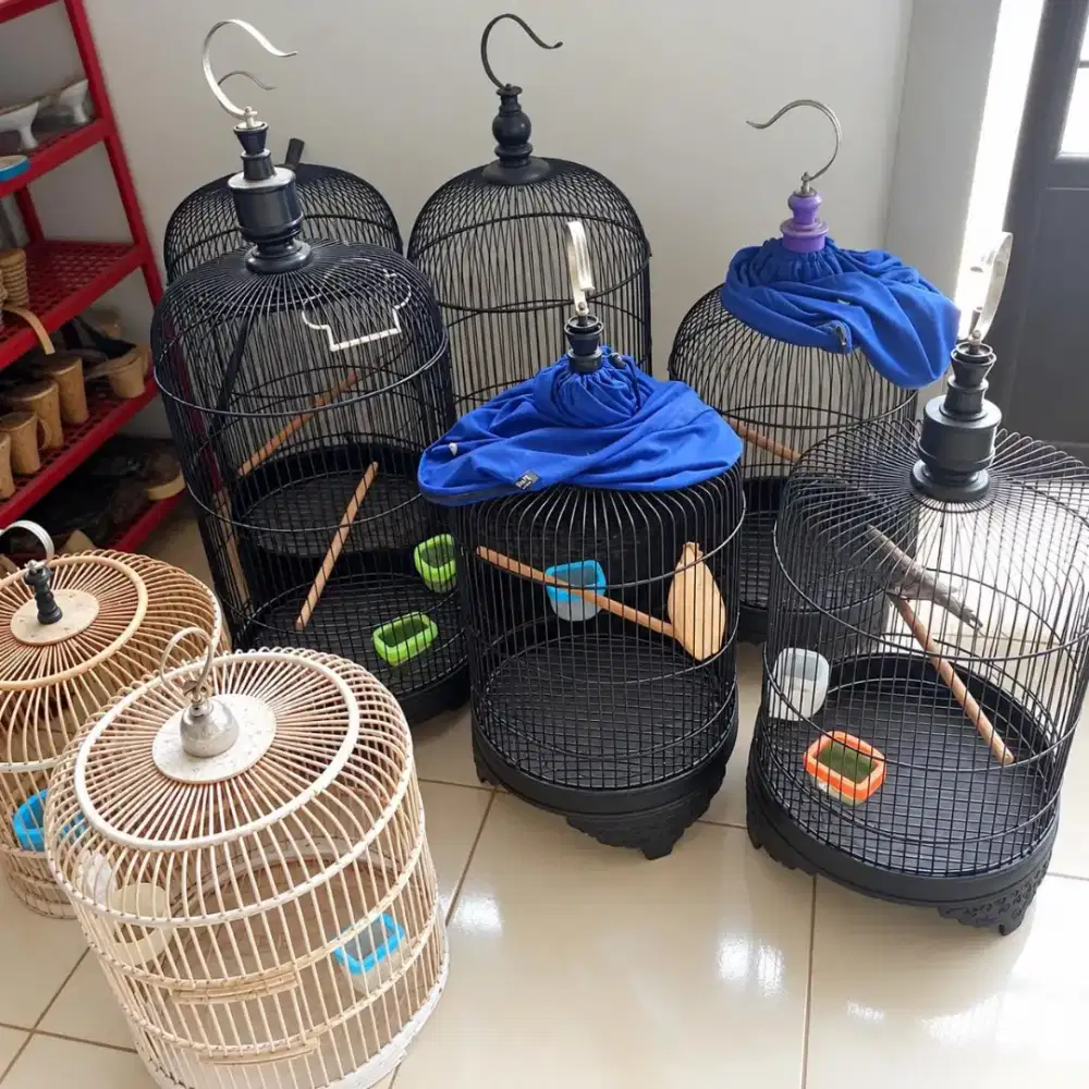 Borongan Sangkar burung besi 6 pcs