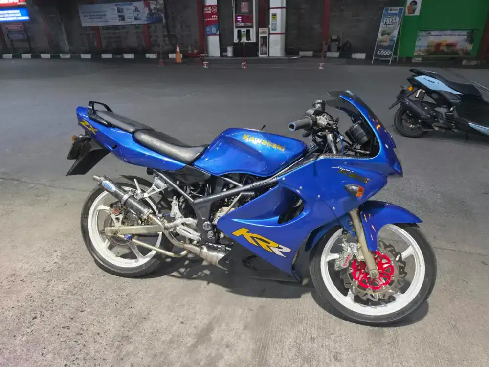Ninja RR body mulus