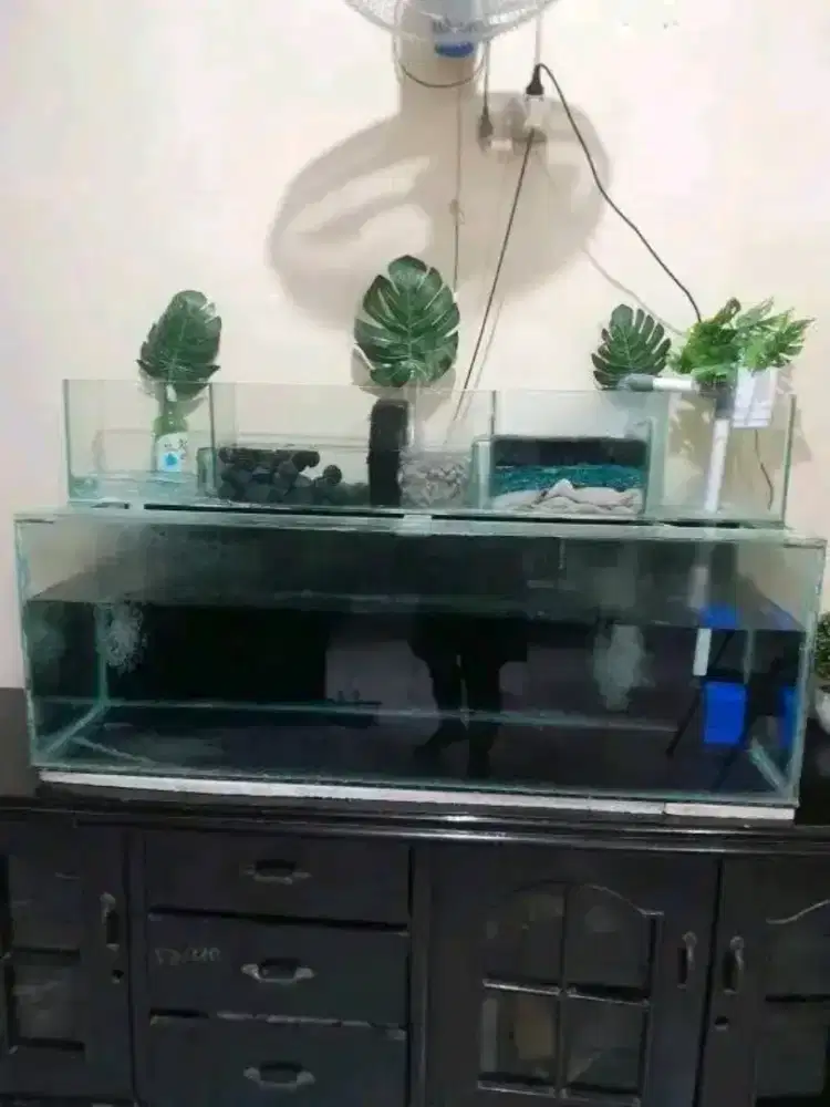 aquarium + talang filter