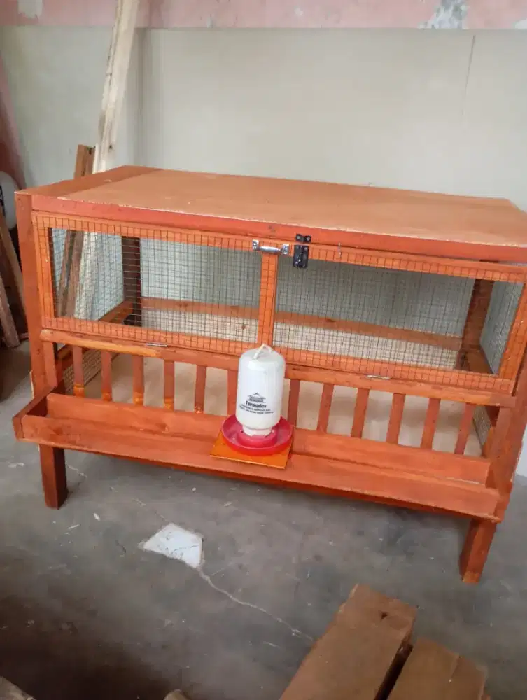 Kandang ayam koloni petelur elba arab leghorn model sekam