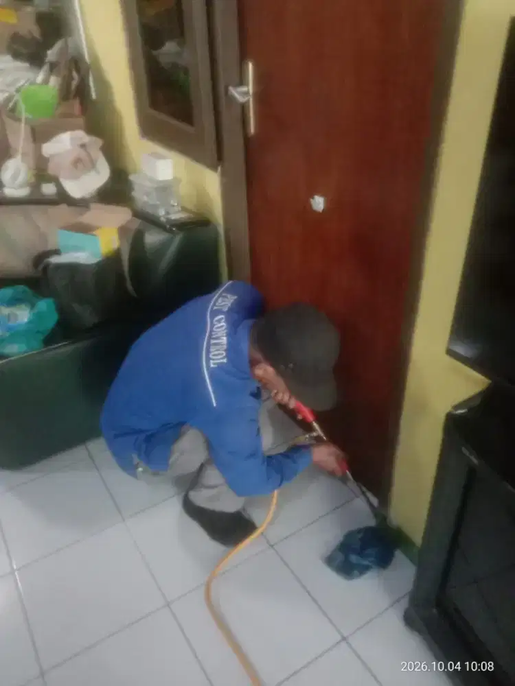 Anti Rayap murah dan bergaransi resmi