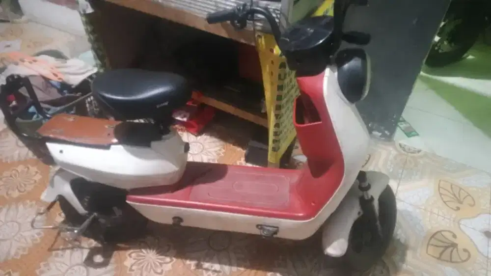 Exotic jual apa adanya