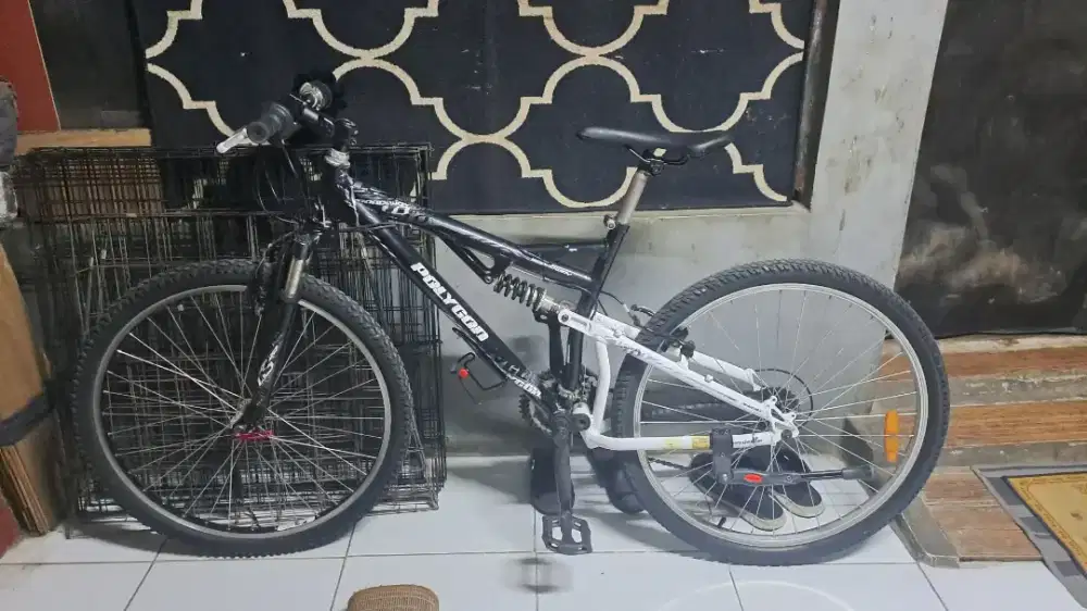 Sepeda polygon 26