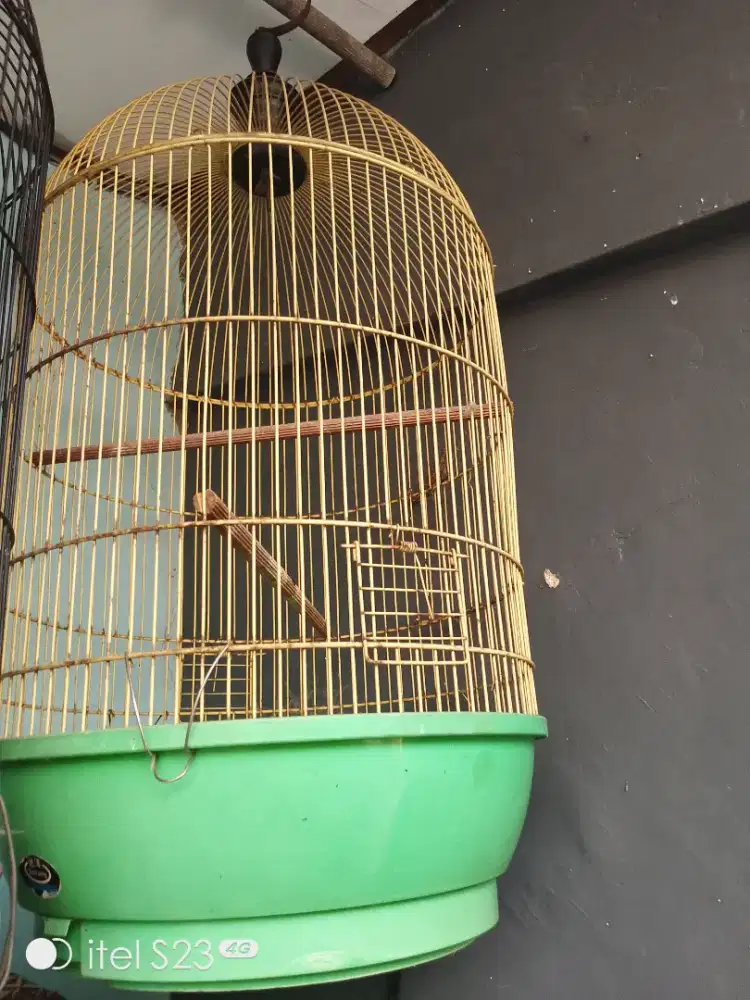 Kandang burung jumbo