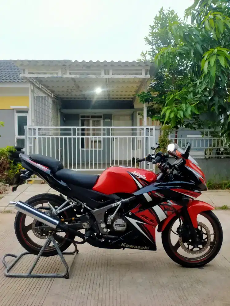 Ninja RR New 2013