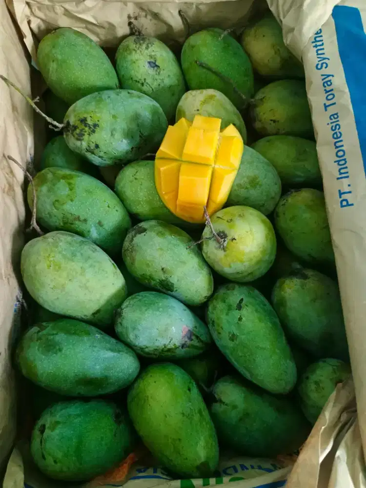 Karyawan Toko Buah