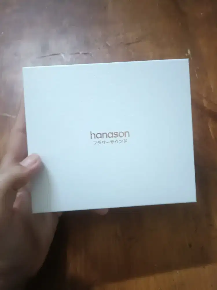 Hanason sleep earphone