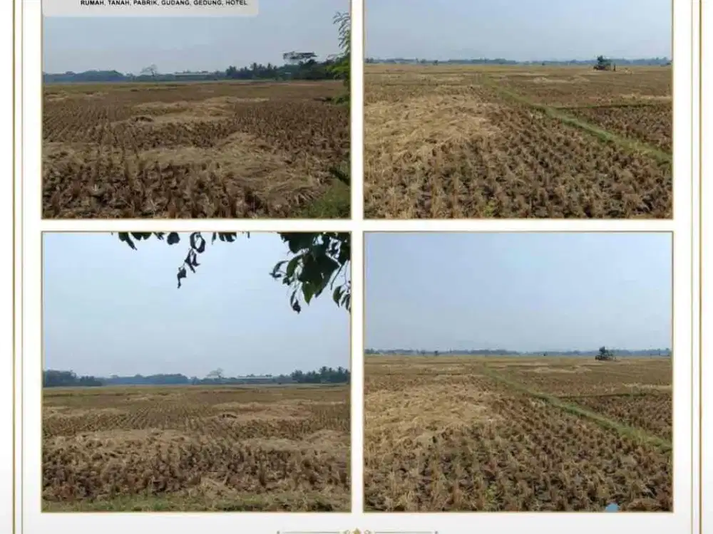 For Sale
kavling Cianjur

LT 129.797
LM 36
hadap Timur
SHM

hrg 800.000/mtr
total 103M nego

AG-LN