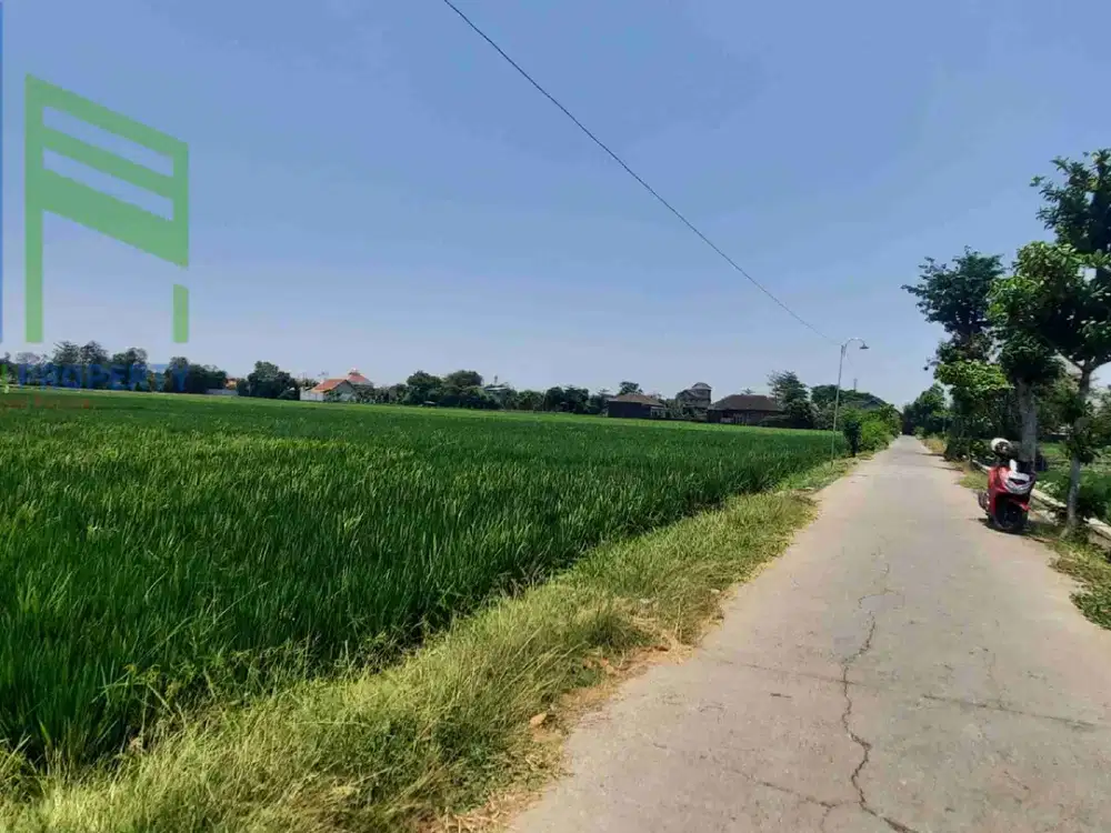 dijual sawah dekat Bandara adi sumarmo solo