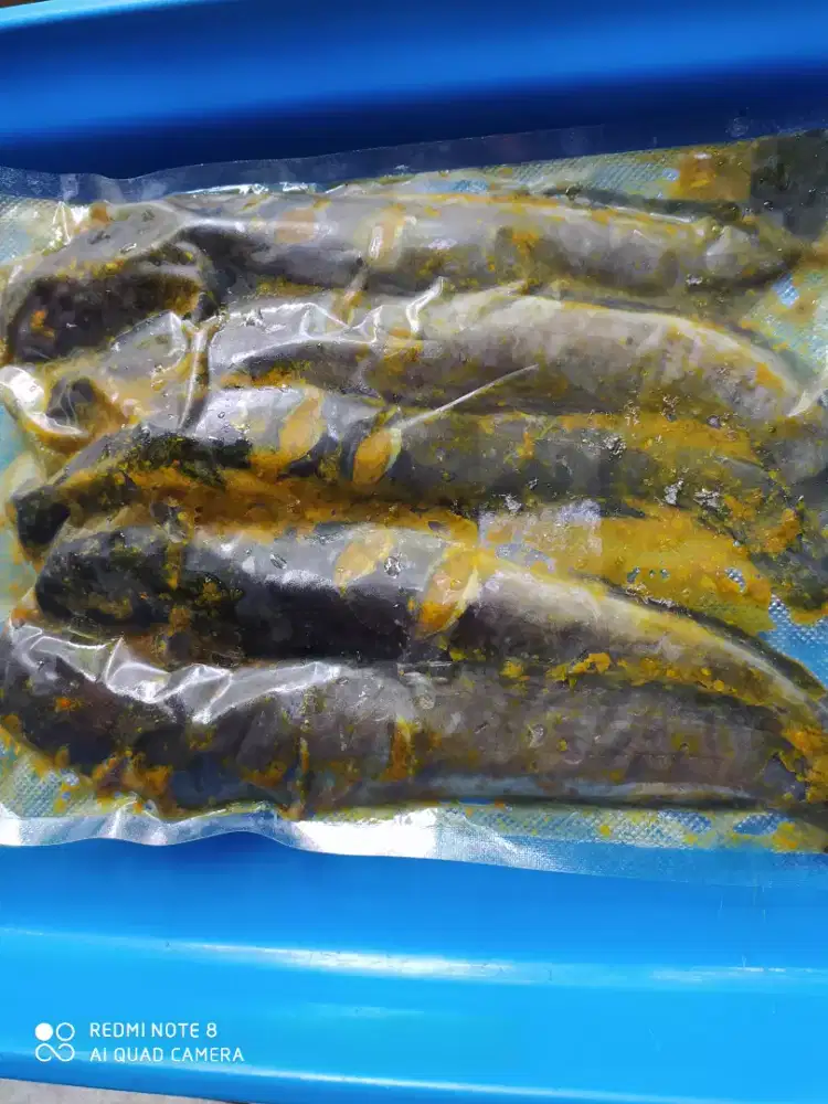 Lele Marinasi Frozen siap goreng