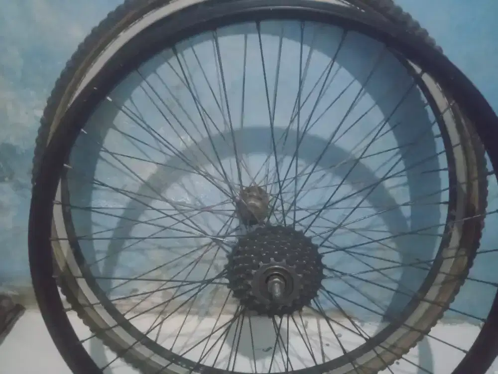 Velg Sepeda Pasific Exotic