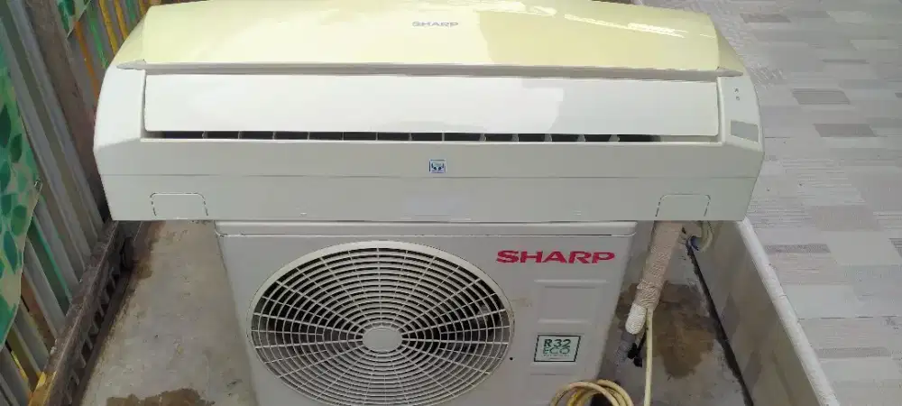 Ac Sharp 1/2 pk