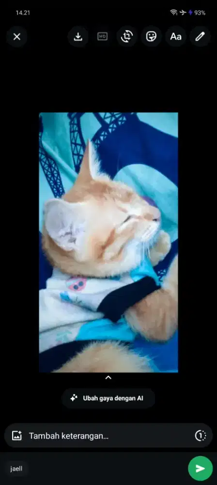 sedang mencari pekerjaan