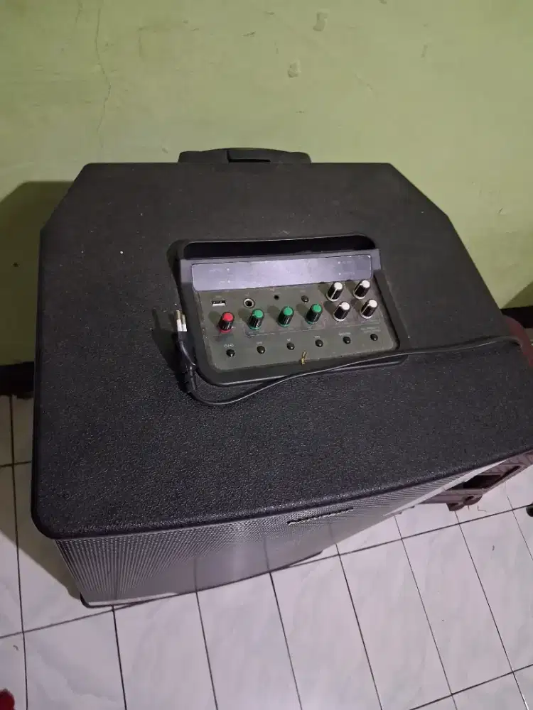 Speaker polytron pass pro