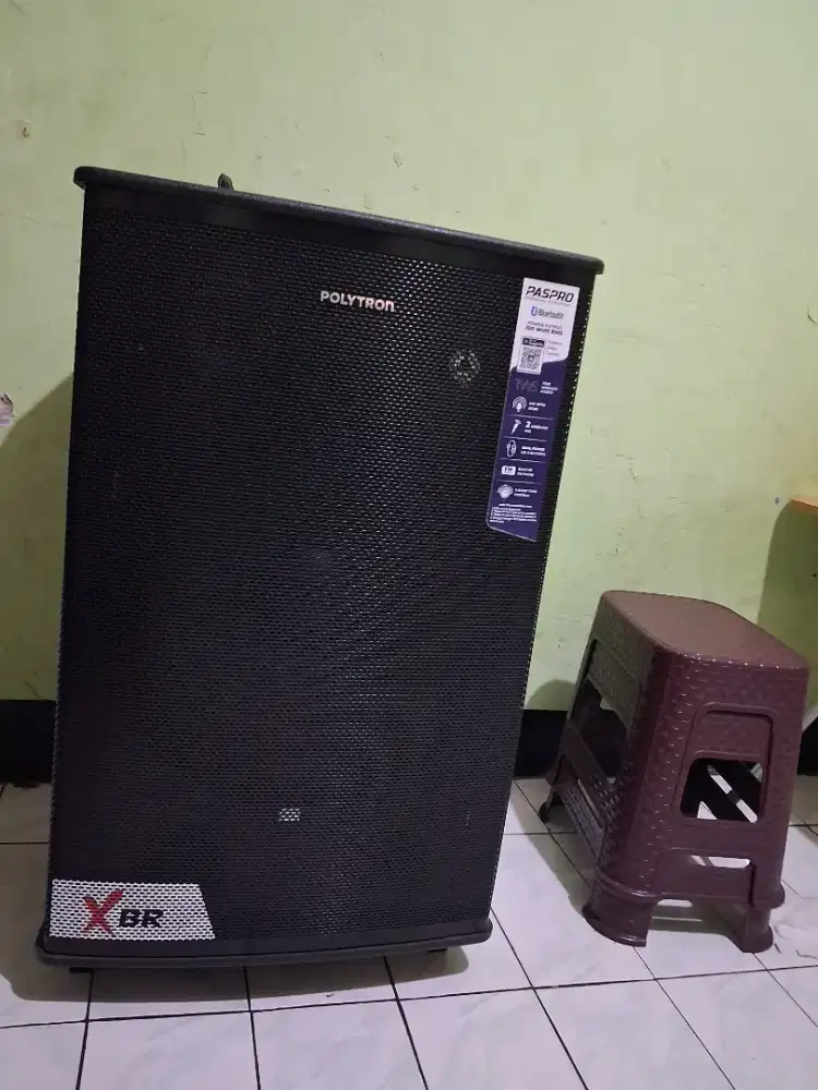 Speaker polytron pass pro