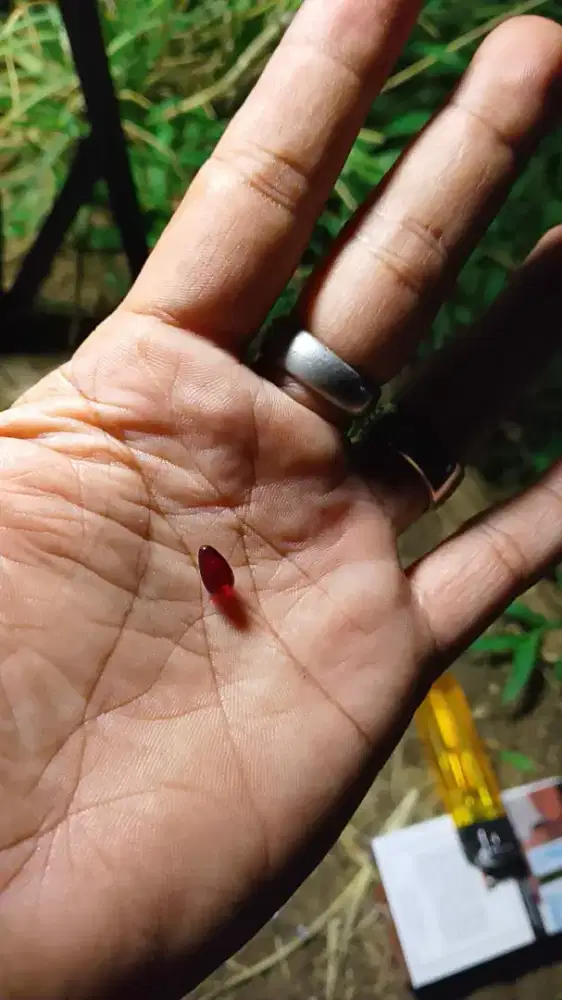 batu mustika lipan asli alam