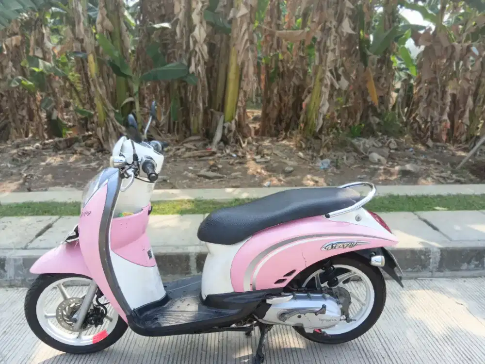 Scoopy 2010 alus