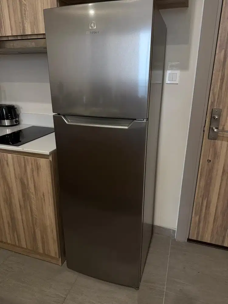 Kulkas Electrolux ETM2500A-A 2pintu