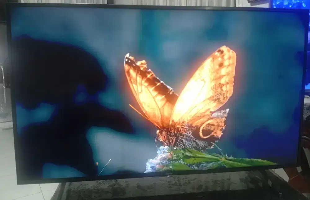TV Android Sony layar 55 inch suara mantab gambar tajam bisa internet