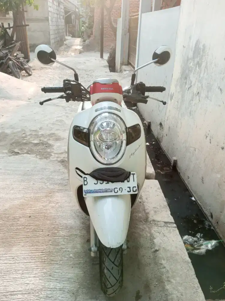 Honda scoopy 2020