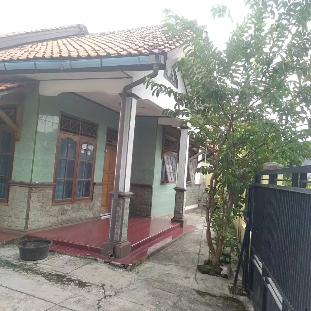 Rumah di Jual Area Cirebon Sumber