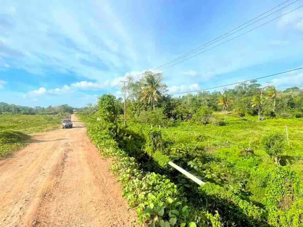 Jual Tanah 3 Hektar di Kab.Sorong Sp.3  Jln.Tren