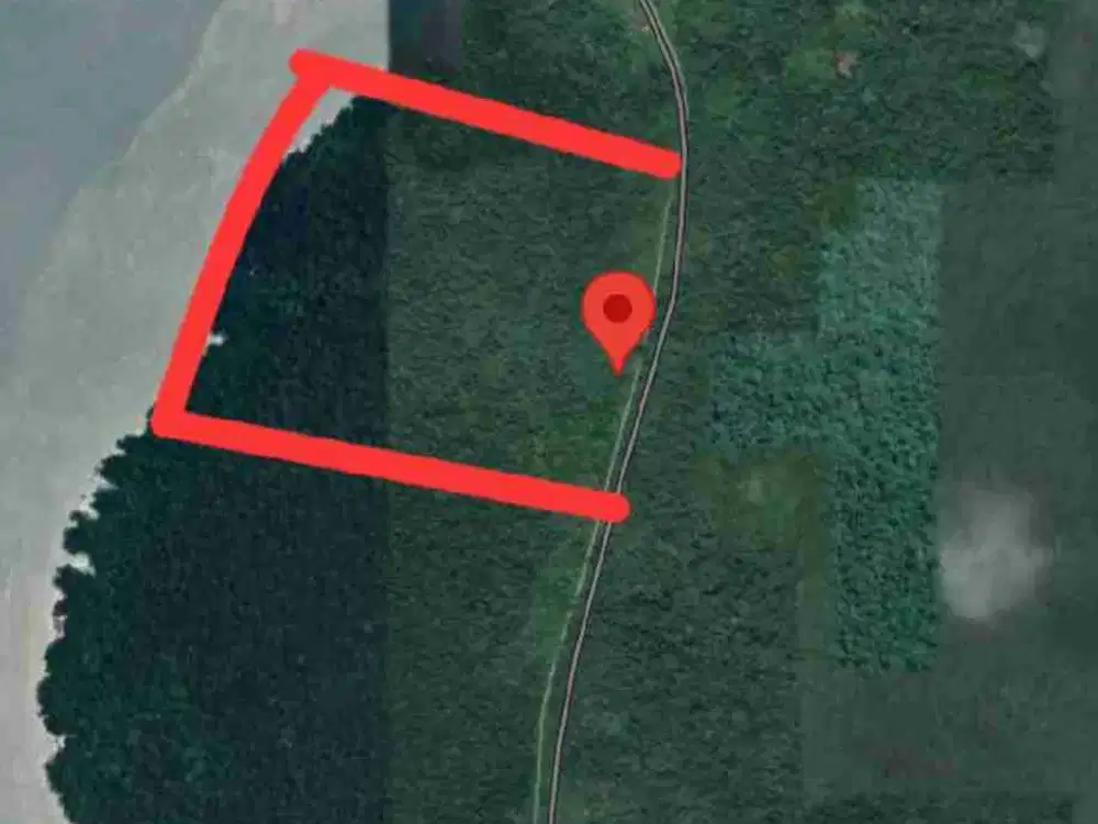 Jual Tanah 50 Hektar Di kab.Sorong Kampung Klayas
