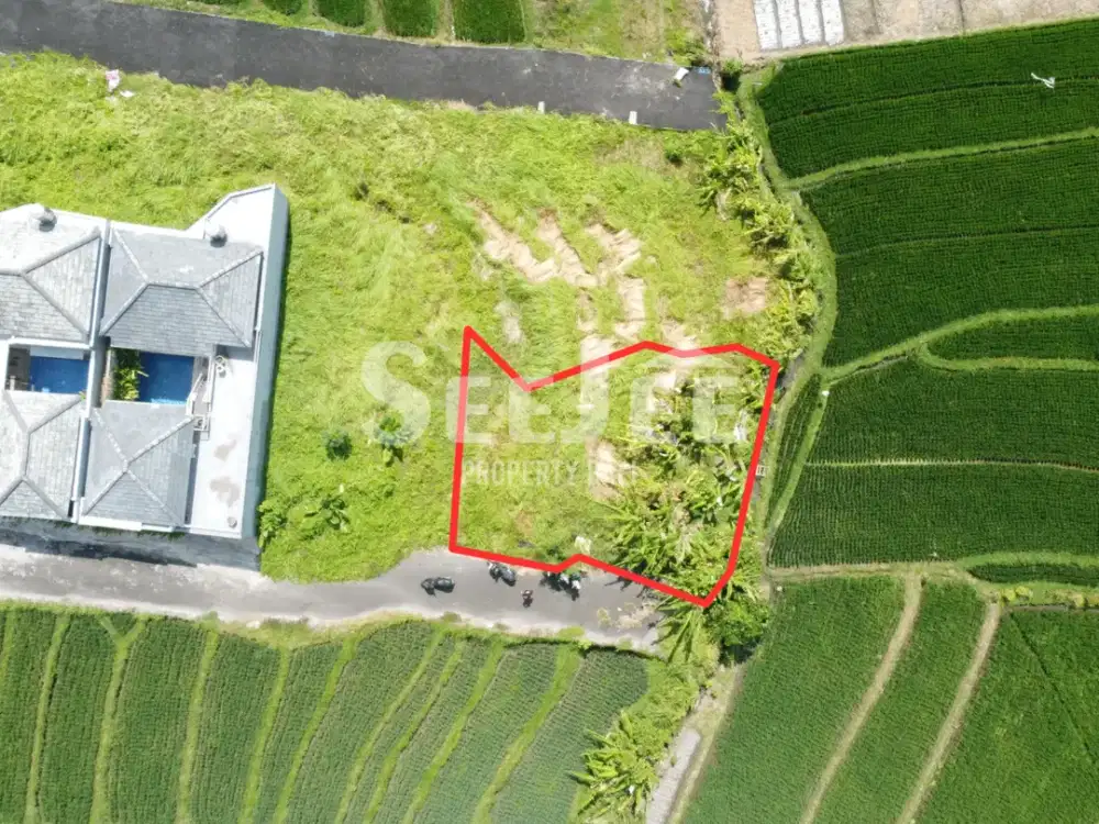 200 M2 Tanah Hak Milik Canggu Zona Orange dengan Pemandangan Sawah - Lokasi Tenang & Strategis - Slfc068
