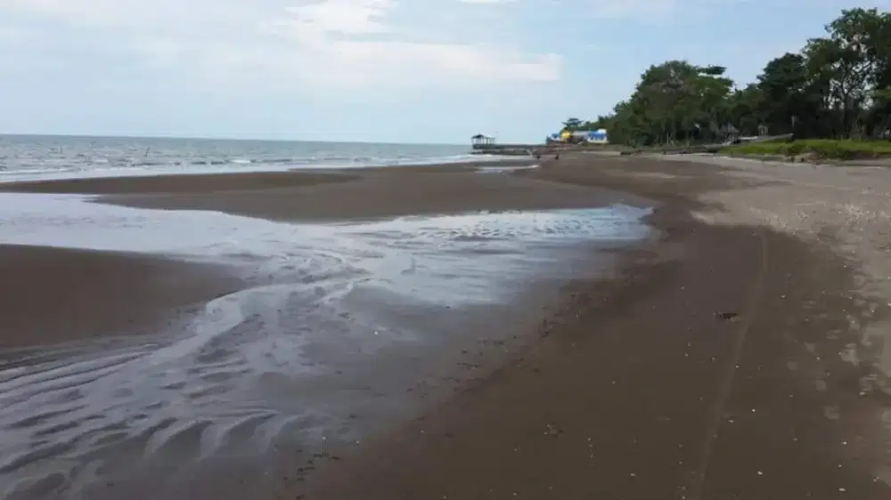 Jual tanah pinggir laut