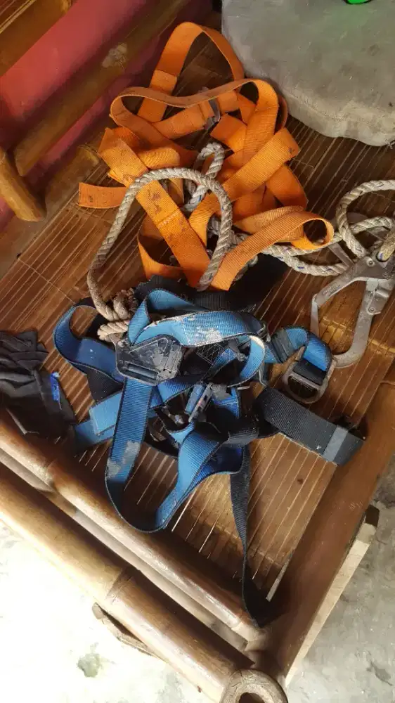 safety belt harnes