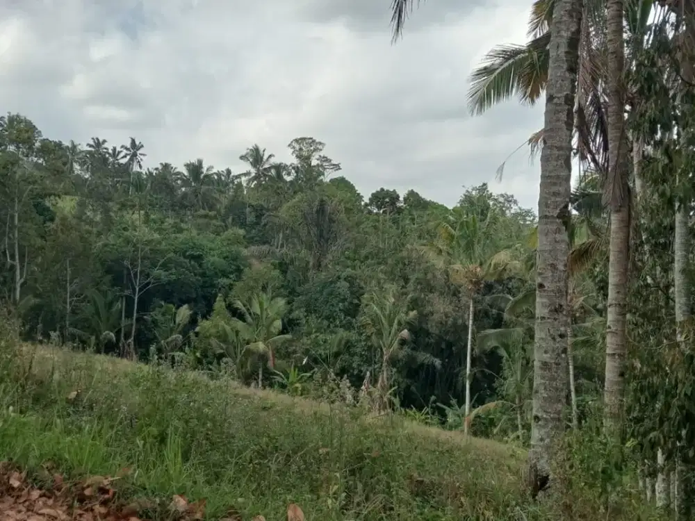 Dijual Tanah Lokasi Strategis di Wongayagede