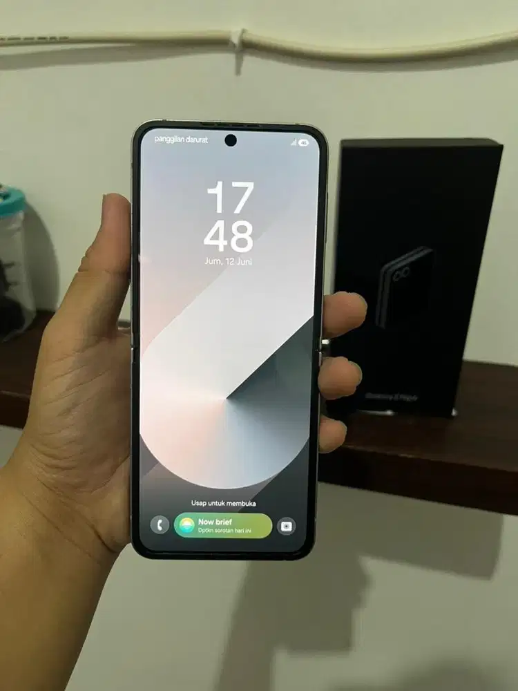 Samsung Galaxy Z Flip 6 Ex resmi sein 12/256 Mulus No minus Fullset
