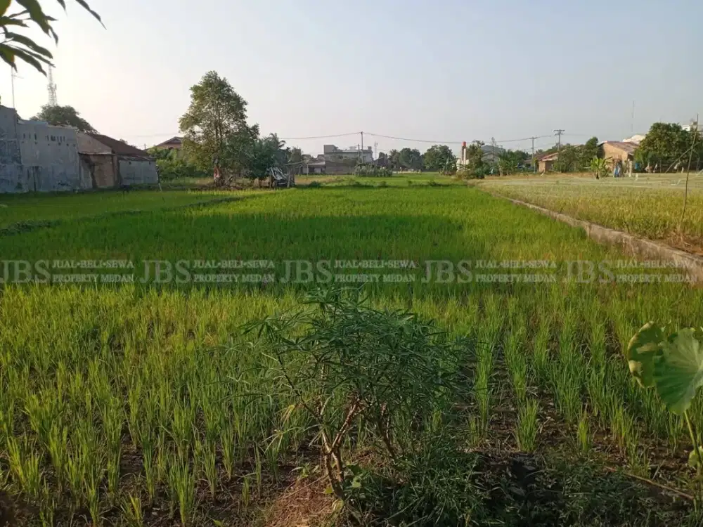 Jual Tanah Luas 3000m2 di Daerah Lau Dendang Jalan Sukarela Timur/Jalan Surya Haji