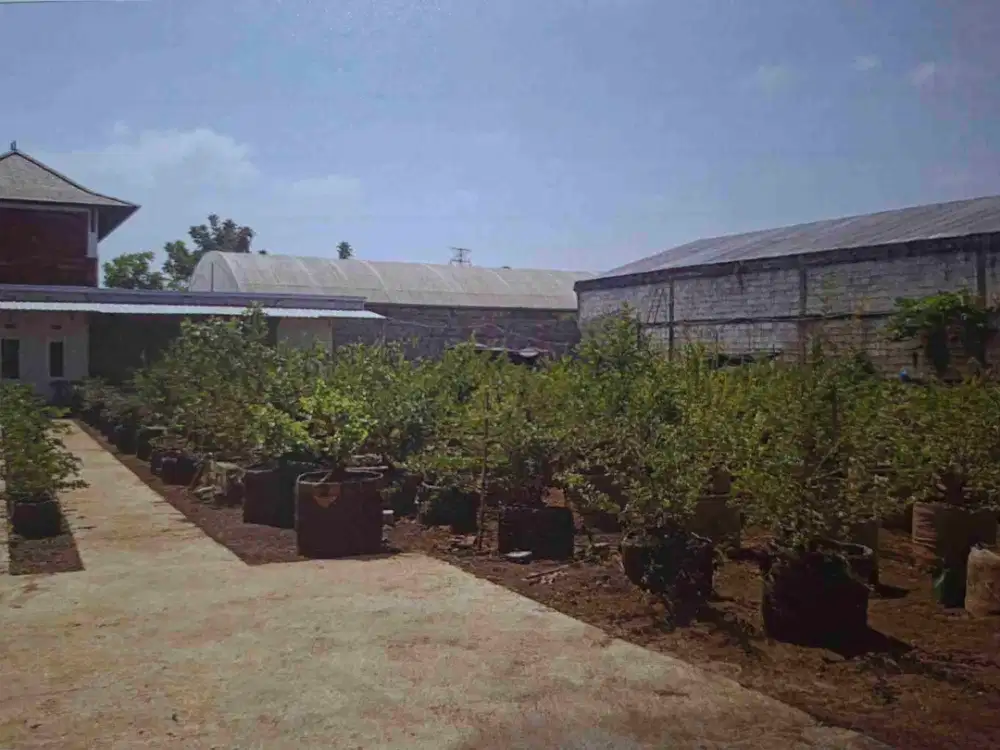 Jual Rumah,gudang,Lahan strategis, Malang