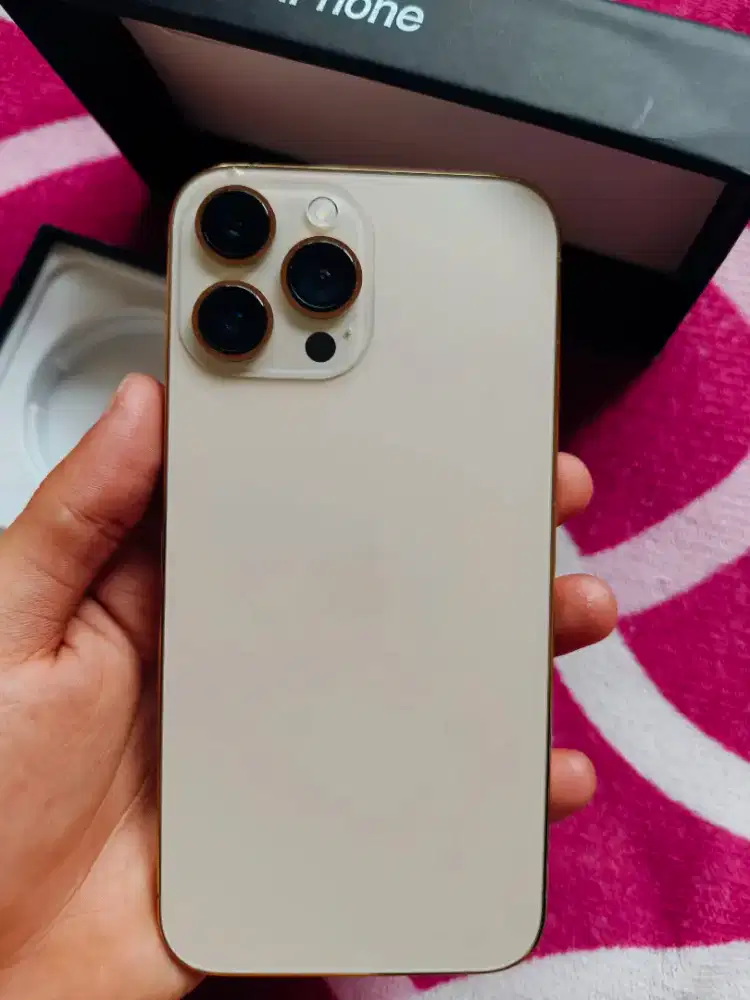 Jual santai HP iPhone 13 Pro Max 256GB (Gold)