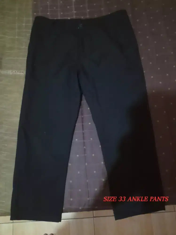 Ankle Pants Size 33