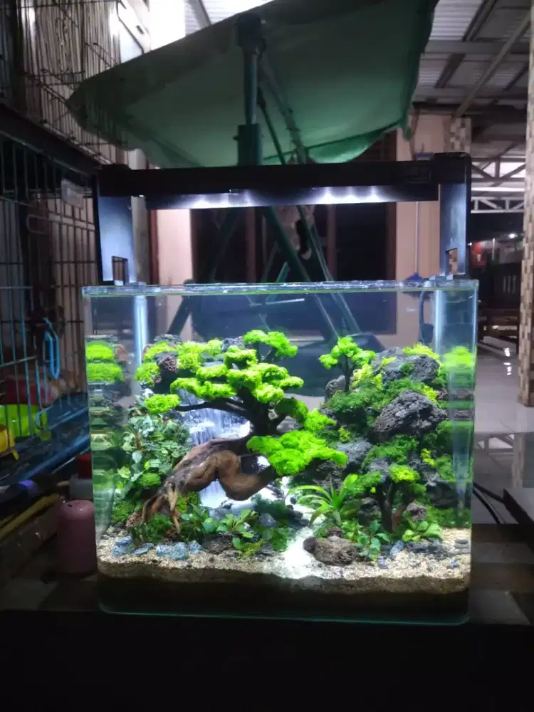 Aquascape waterfall