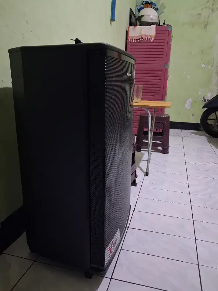 Speaker Polytron paspro