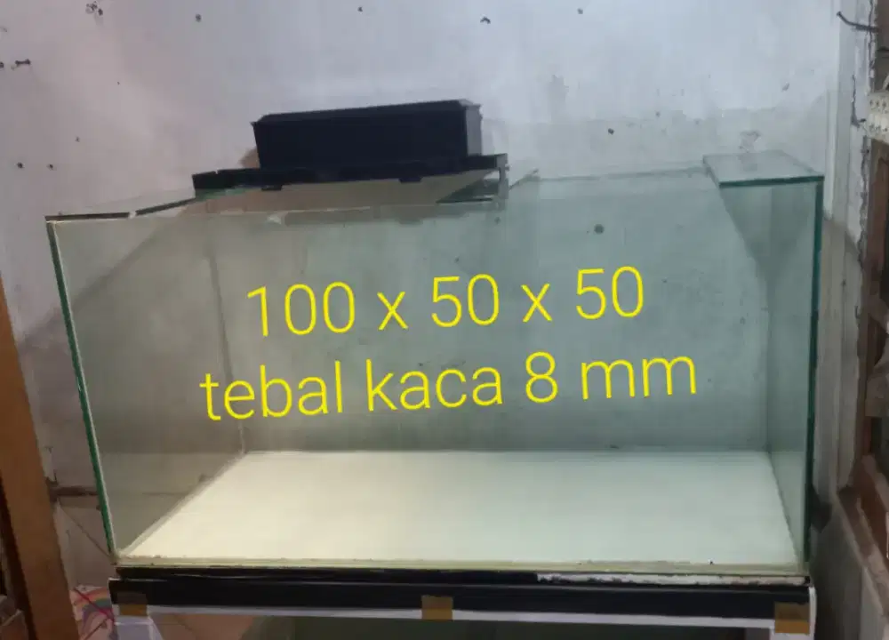 Aquarium bekas arwana